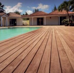 Vis Terrasse DECK Pour Bois Dur - Inox A2