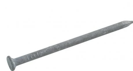 Pointes Tête Plate En Acier Galvanisé 1 Pointes Tête Plate En Acier Galvanisé