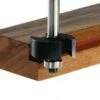 Festool Fraise à Feuillurer Avec Roulement