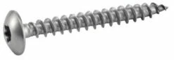 Vis De Penture Torx Inox A4