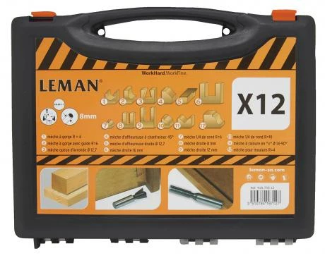 Coffret De 12 Fraises Carbure 2 Coffret De 12 Fraises Carbure – Image 2