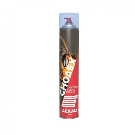 Insecticide Foudroyant Guêpes/frelons CHOAEX 1 Insecticide Foudroyant Guêpes/frelons CHOAEX